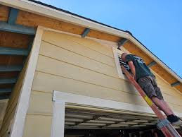 Best Siding Painting and Refinishing  in Dianapolis, IN